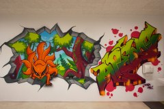 APEMS-1_Juin2021-web