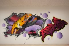 APEMS-2_Juin2021-web