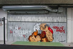 crossfit-meyrin-web